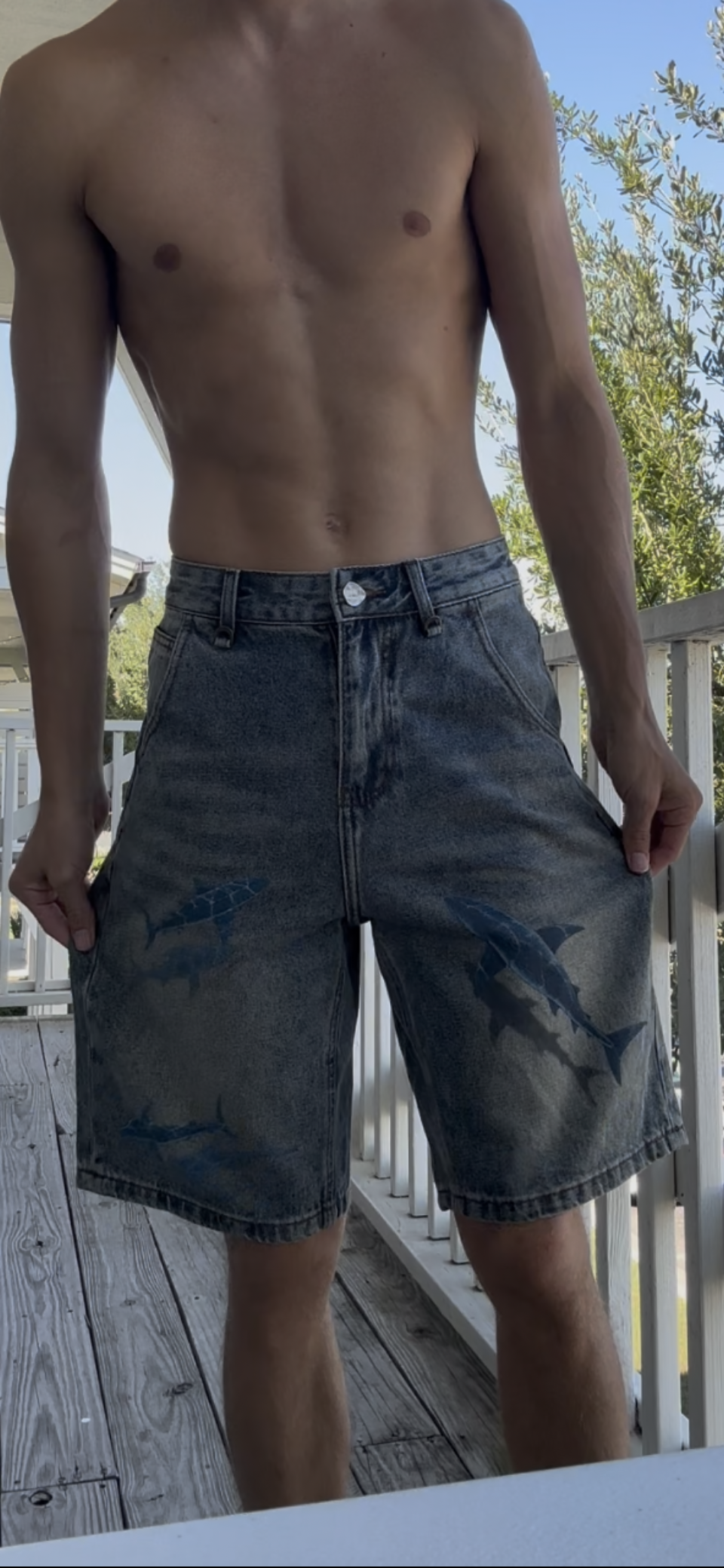 Salt Vault Vintage Shark Jorts