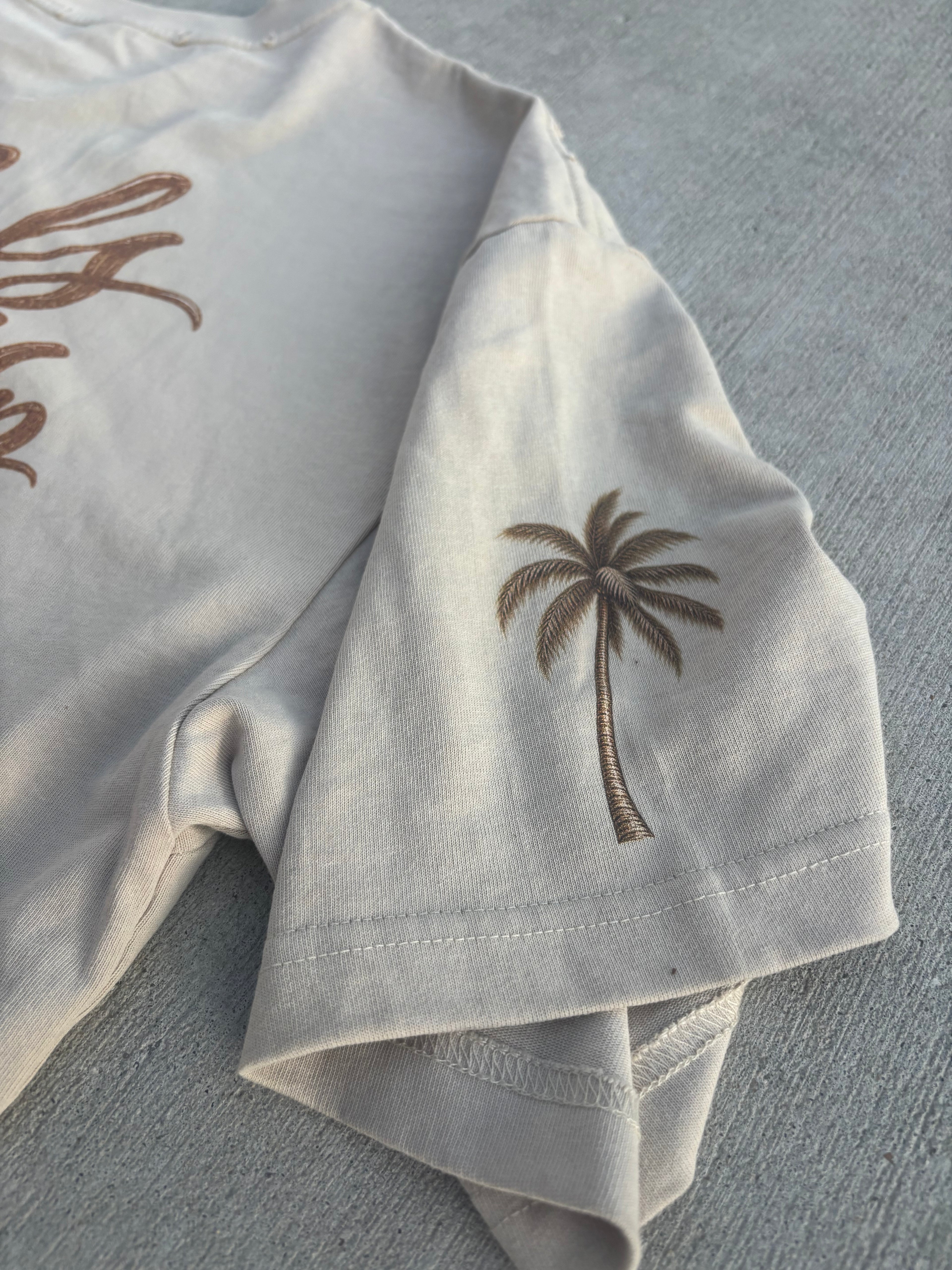 Salt Vault Frayed distressed Boxy Tee